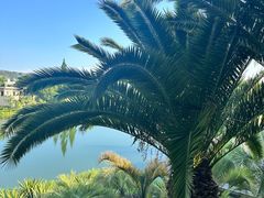 -抚仙湖万达文华酒店