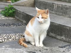 -狼山风景名胜区