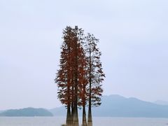 -四明湖