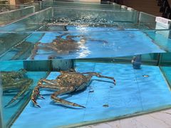 -旺顺阁海鲜广场(亚运村店)