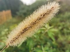 -汉景帝阳陵博物院