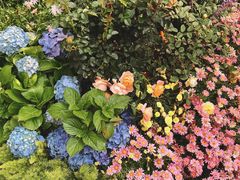 -人民公园(罗湖区)