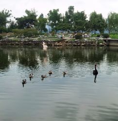 -玄武湖景区-情侣园游乐场