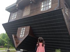 -金山农民画村-枫泾波兰倒置屋
