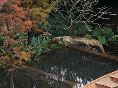-云溪植物园