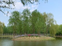 -东郊湿地公园