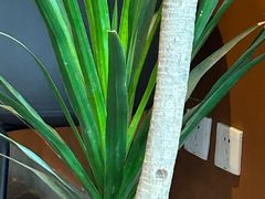 -Wagas沃歌斯(汇智店)