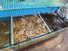 -蓝珊甄选海鲜自助·火锅大排档(近阿那亚店)