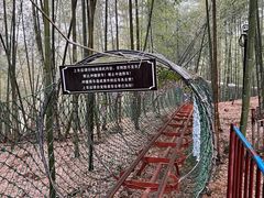 -宁波浙东大竹海景区