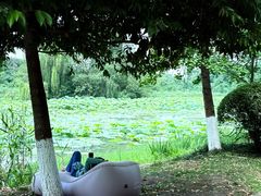 -白鹭湾湿地公园