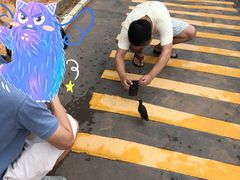 -广东惠东海龟国家级自然保护区
