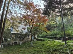 -莫干山风景区