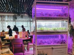 -北京全聚德(西翠路店)