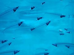 -常州海昌海洋探索馆