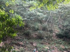 -广州白江湖森林公园