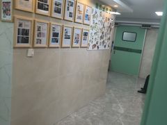 -半岛宠物医院24小时·内窥镜·牙科·碎石中心(府城大道店)