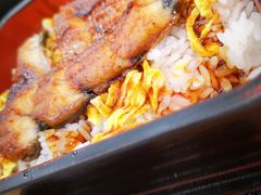 鳗鱼饭-禾绿寿司(星光68广场店)