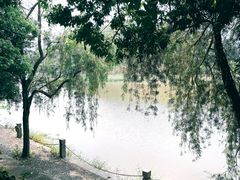 -九鲤湖风景区