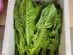 -东山矮马桶羊肉(太湖东山店)