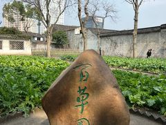 -绍兴鲁迅故里·沈园景区