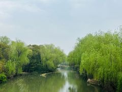 -同里国家湿地公园