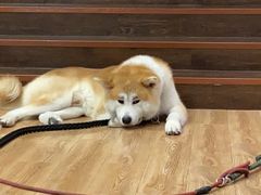 -YCHL Studios健身工作室(市二宫店)