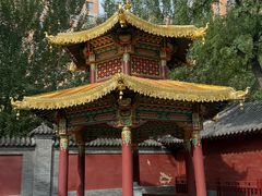 -护国法轮寺