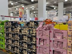 -山姆会员商店(亦庄创意生活广场店)