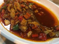 -大碗居老北京炸酱面(蛇口店)