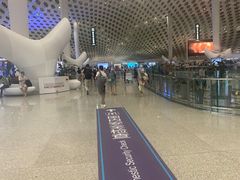 -陈鹏鹏潮汕菜(宝安机场T3航站楼店)