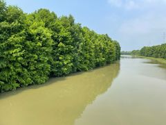 -上海海湾国家森林公园