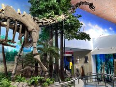 -延庆地质公园博物馆