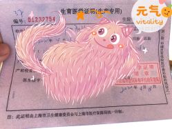-中国福利会国际和平妇幼保健院(徐汇院区)