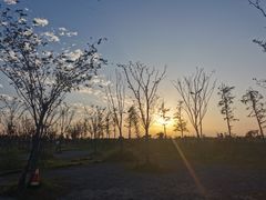 -南汇嘴观海公园