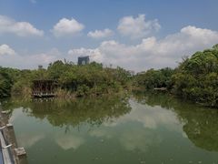 -上海长江河口科技馆