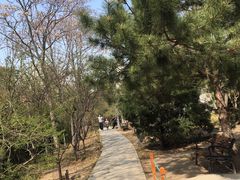 -云海肴·汽锅鸡·云南菜(广安门天虹店)
