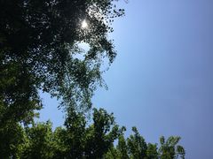 -秀水公园