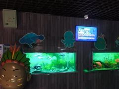 -秦皇岛新澳海底世界
