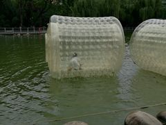 -莲湖公园
