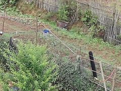-水墨汀溪风景区