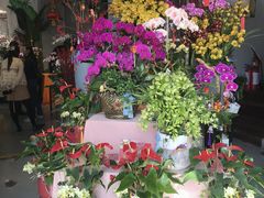 -弗劳尔花艺坊(龙涛店)