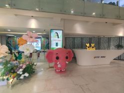 点击看大图 -石家庄苏亚美联臣医疗美容医院