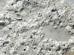 -北海金海湾红树林生态旅游区