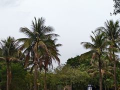 -南沙蒲洲花园