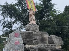 -大岭沟猕猴桃谷风景区