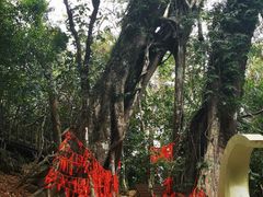 -七仙岭温泉国家森林公园