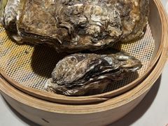 -杨氏青龙虾·羊蝎子(金盛路总店)