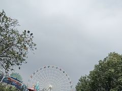 -雀儿山公园
