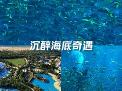 -三亚亚特兰蒂斯度假区
