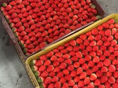 -西郊国际农产品交易中心